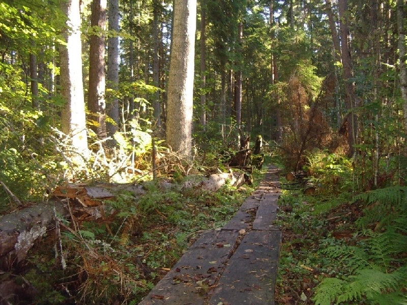 2005_09_18 392.jpg